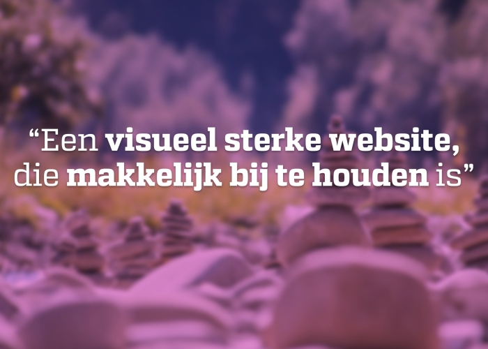 Foto over het succesverhaal van MetZorg