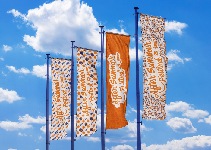 Foto over het succesverhaal van After Summer Festival