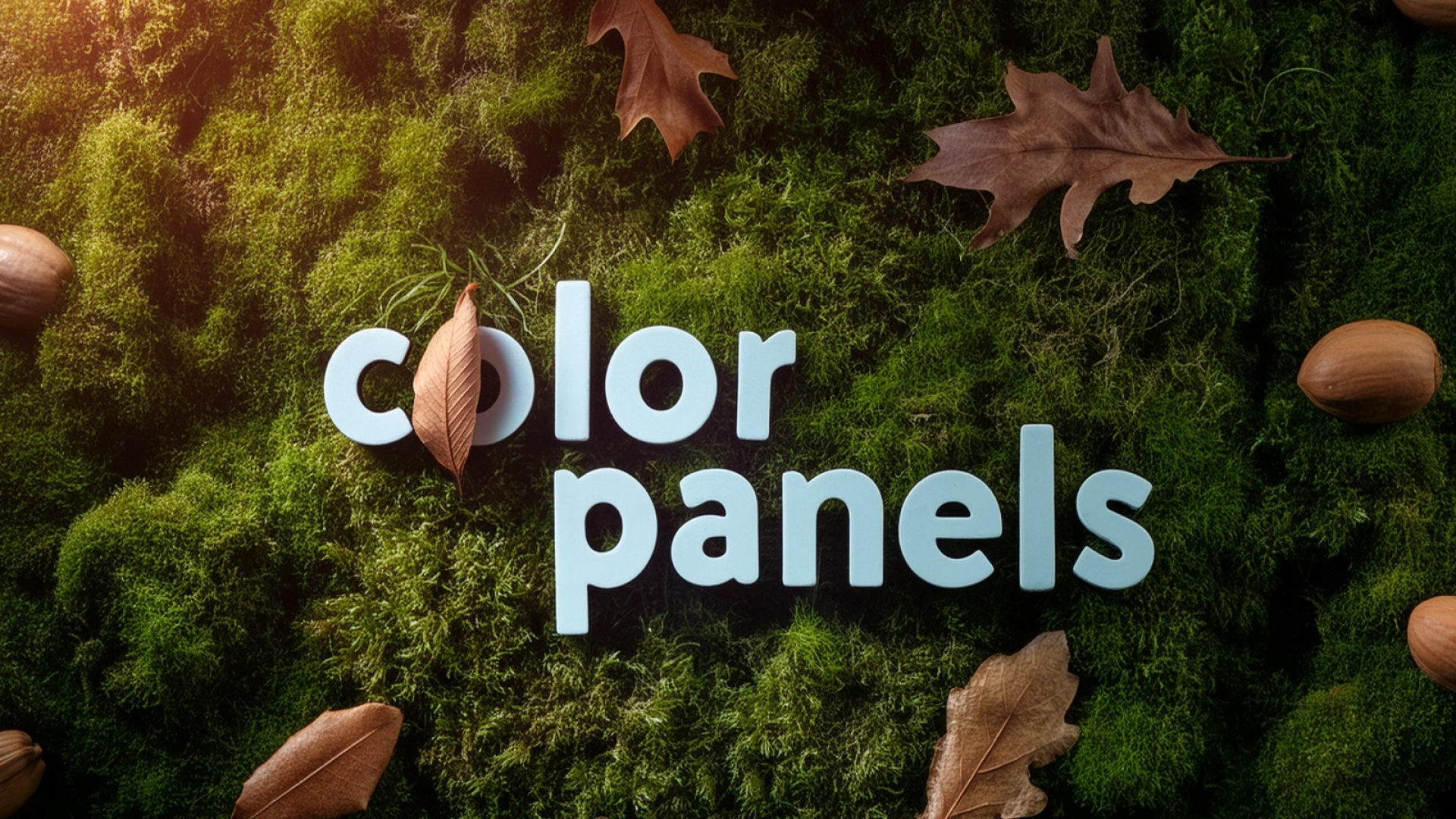 Project achtergrond afbeelding voor Color Panels